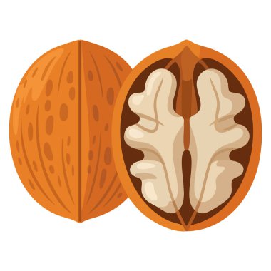 Vektör illüstrasyon ceviz düz clipart gıda ikonları için mükemmel sağlıklı beslenme ürünleri etiketleri ve doğal görsel tasarım