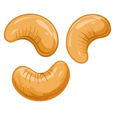 Yiyecek markalaştırmak için uygun kaju fıstıklarının vektör çizimi görsel beslenme ürünleri ürün tasarımı ve sağlıklı beslenme temalı sanat eserleri.