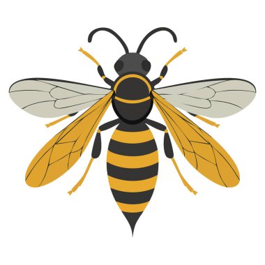 Beyaz şeffaf arkaplan üzerinde, doğa ekolojisi ve böcek temalı tasarımlar için uygun, eşekarısı arı vektör simgesi