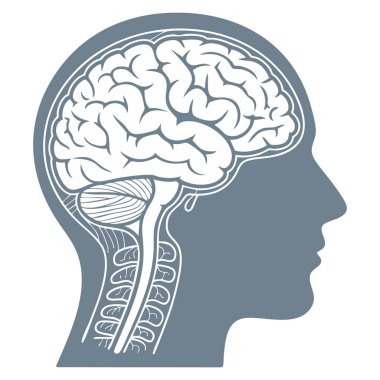 Bilgi bilimi ve akademik temaları öğrenmeye uygun büyük okul ve üniversite monokrom koleksiyonundan beyin monokromu tekli eğitimi