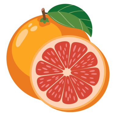 Taze narenciye tasarımı içeren üzüm meyvesi illüstrasyonu sağlıklı yemek temalı meyve suyu etiketi baskısı ve beslenme sanatsal projeleri için idealdir