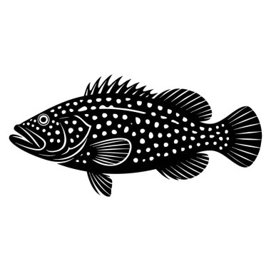 Orfoz balığı, deniz tuzu balığı, siyah ve beyaz okyanus yaratığını izole etti. Balık resiflerinde yaşayan yırtıcı, su temalı sanat eserlerini detaylandırdı.