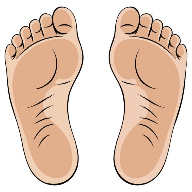 İnsan ayağı bitkisi anatomi doğası büyüme ekoloji ayak izi konsepti ve çevre temalı vektör tasarımı için idealdir.