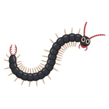 Vahşi yaşam biyolojisi ve gerçekçi yaratık temalı tasarım projeleri için canlı böcek kırkayağı çizimi ideal