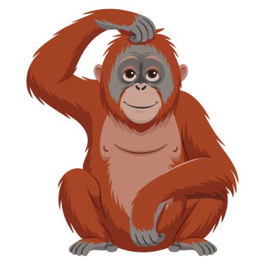 Orangutan kafa kaşıma konsepti vahşi yaşam markalaştırma orman ekosistem eğitimi ve anlamlı hayvan görselleri için mükemmel.