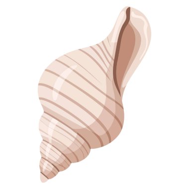 Vektör illüstrasyon salyangoz kabuğu doğa deniz biyolojisi vahşi yaşam çalışmaları ve dekoratif spiral sanat eserleri için mükemmel izole