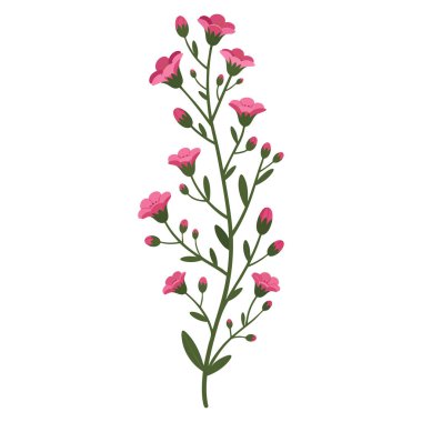 Çiçek desenli kır çiçekleri çiçek desenli, botanik bahçe süslemeleri ve doğa esinlenilmiş temalar için mükemmel bir vektör çizimi.