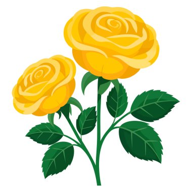 Çiçek dekorasyonu, romantik konsept tasarımı ve botanik temalı yaratıcı sanat eserleri için sarı güller.