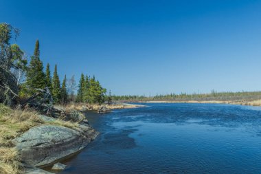 Baharın başlarında Manitoba 'da bir taşra parkında sakin bir nehir. Evergreen ormanı, berrak mavi gökyüzü, huzurlu vahşi doğa manzarası ve doğal tatlı su manzarası.