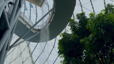 Winnipeg 17 Şubat 2026.Kanada. Assiniboine Park 'taki Yaprak' ta tropik bir şelale.