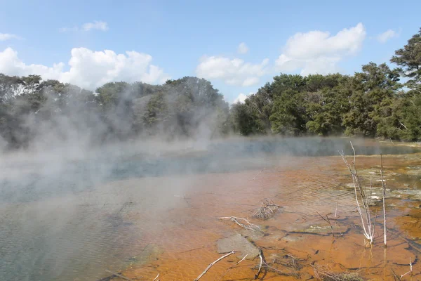 Kaplıcalar Rotorua, Yeni Zelanda