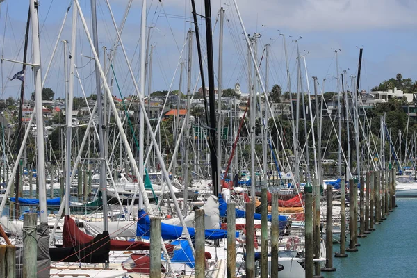 Orman direkleri Auckland, Yeni Zelanda