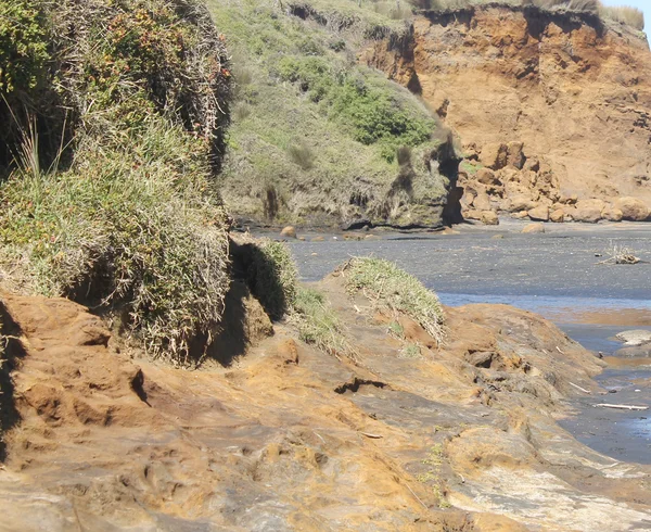 Awhitu Yarımadası, Auckland Hamilton'ın boşluğu taşlara