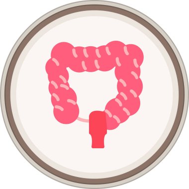 Small Intestine Flat sticker. Vector Illustration For Web Use