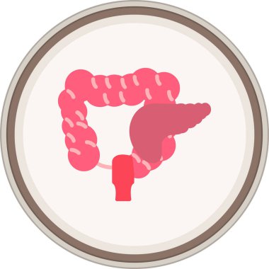 Pankreas yassı çıkartması. Web Kullanımı için Vektör İllüstrasyonu