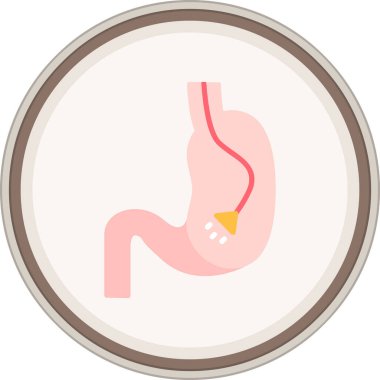 Bir insan vücudunun vektör illüstrasyonu