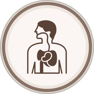 Kalp ve organ ikonu. düz dizayn