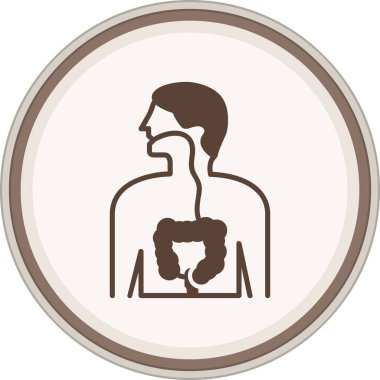 Organı olan insan kalbi