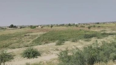 Kırsal Saha Görünümü - Düz Arazideki Yeşil Ekinleri ve Uzak Köyü Geçmek