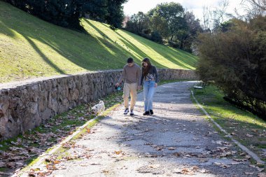 Güneşli bir günde parkta köpeğini gezdiren 20 'li yaşlarda beyaz bir erkek ve kadın. Doğada boş zaman, arkadaşlık ve günlük yaşamı gösteren açık hava yaşam sahnesi..