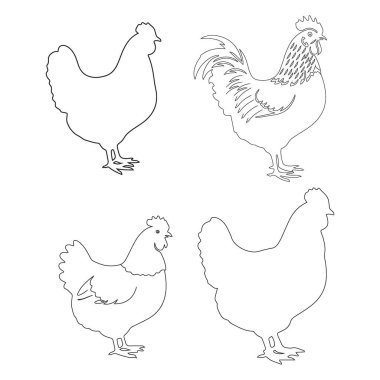Çiftlik Hayvanları için Tavuk Hattı Çizimi Vektör Grafikleri