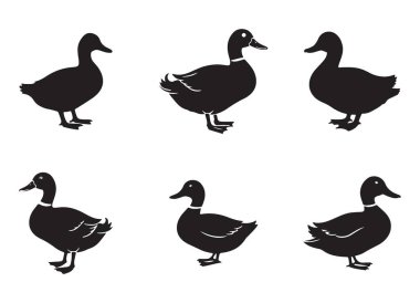 Grafik Projeleri için Ördek Siyah Siluet Vektör Çizimi