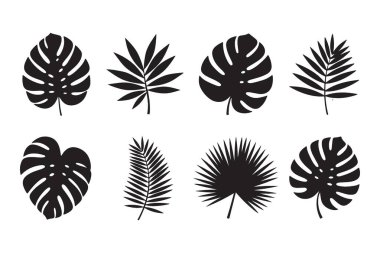 Tropikal Yapraklar Siluet Vektör İllüstrasyon Botanik Elementleri