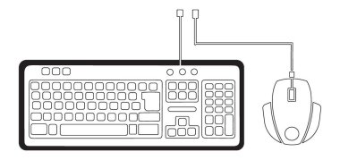 Girdi Aygıtları için Bilgisayar Klavyesi ve Fare Vektörü İllüstrasyonu