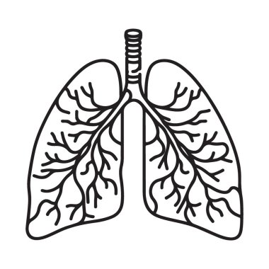 Tıbbi Amaçlar İçin İnsan Ciğerleri Anatomisi Sağlık Vektörü İllüstrasyonu