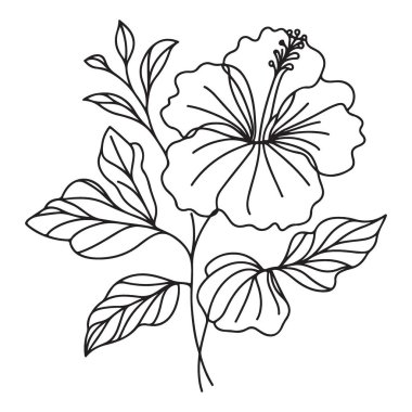 Zarif Hibiscus Çiçek Çizgisi Sanat İllüstrasyonu Tropik Çiçek Tasarımı