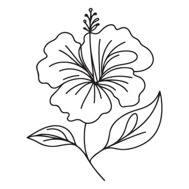 Basit Hibiscus Çiçek Çizgisi Çizim Vektörü Çizimi Çiçek Tasarımı