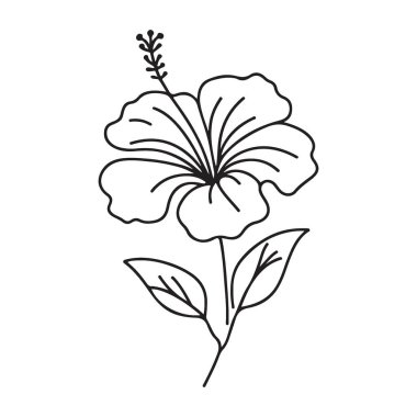 Çiçek Tasarımları için Hibiscus Çiçek Çizgisi Sanat Vektörü Grafiği