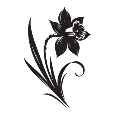 Ayrıntılı Nergis Çiçeği Silüeti Zarif Bitkisel Vektör Tasarımı