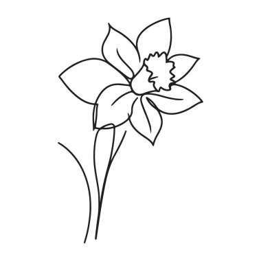 İlkbahar Resimleri İçin Neşeli Nergis Çiçeği Çizgisi Sanatı