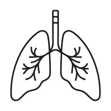 İnsan Akciğeri Anatomisi Tıp ve Eğitim Amaçlarını Özetliyor