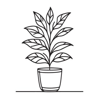 Saksı Bitkisi Çizimi Basit Ev Bitkisi Vektör Sanat Tasarımı
