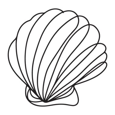 Zarif Deniz Kabuğu Vektörü Grafik Detaylı Okyanus Doğası Elementi