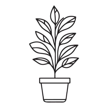 Ev dekorasyonu ve Bahçe Hevesleri İçin Saksı Bitkisi İllüstrasyonu