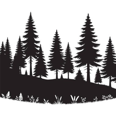 Manzaralı Orman Silueti Görkemli Çam Ağaçları Rolling Hill 'de