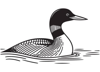 Su vektörü imajındaki zarif yaygın dalgıç kuşu vahşi yaşam doğası