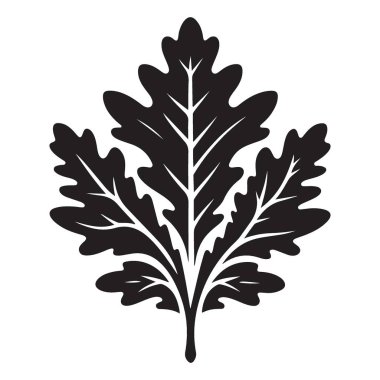Akçaağaç Yaprağı Silueti Sonbahar Bitkisi Çizim Tasarımı