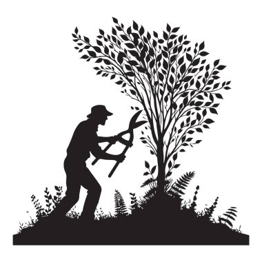 Bahçıvan Ağaç Budama Görünümü Profesyonel Peyzaj Bakımı ve Bakımı