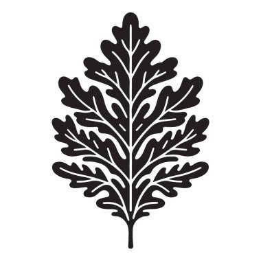 Karmaşık meşe yaprağı botanik siluet vektör çizimi ve tasarımı