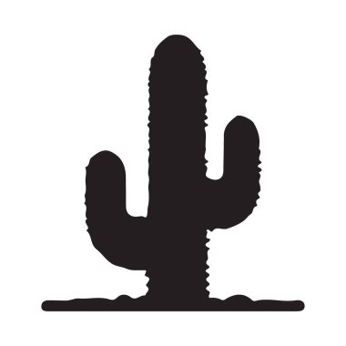 Kaktüs Bitkisi Görüntü Doğası ve Çöl Ortamı