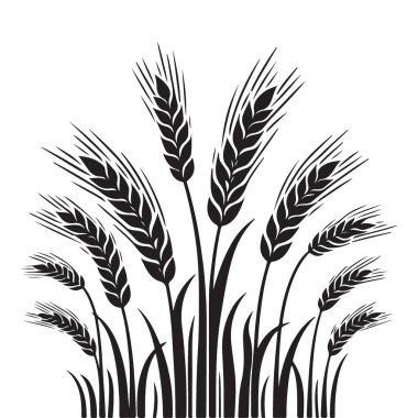 Buğday Silueti Çizimi Tarım ve Hasat Sezonunu Sembolize Ediyor