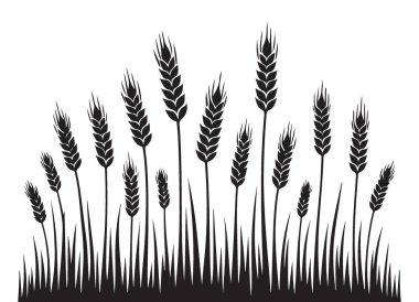 Buğday Silueti Çizimi Hasat Bolluğu ve Tarım Temsilcisi