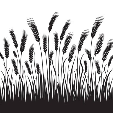 Kara Buğday Sahası Silüet Vektörü Tarım ve Hasat Resimleri