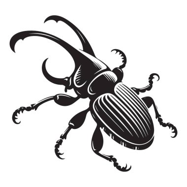 Gergedan Böcek Çizimi Böcek Vektör Sanatsal Tasarımı Grafik Tasarımı