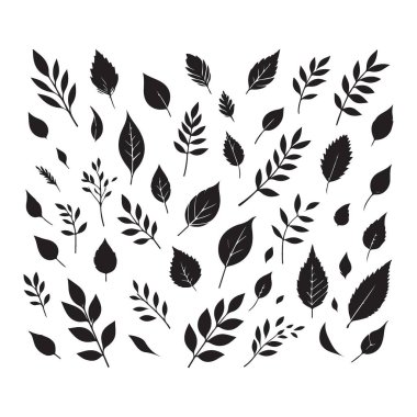 Dekorasyon Tasarımı için Yaprak Vektörü İllüstrasyon Paketi Çeşitliliği