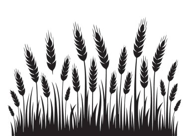 Tarım ve Hasat Temaları için Buğday Sahası Siluet Vektörü İllüstrasyonu